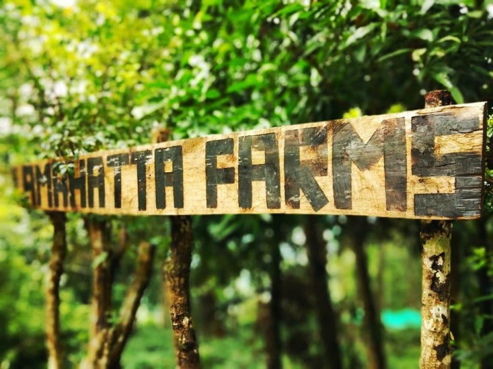 Lamahatta Farms