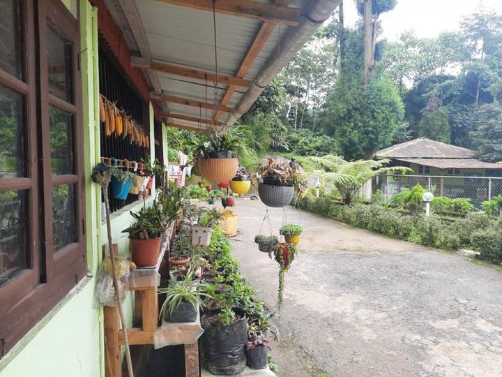 Lebong
