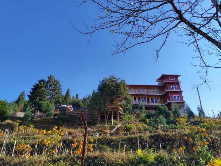 Mim Tea Estate