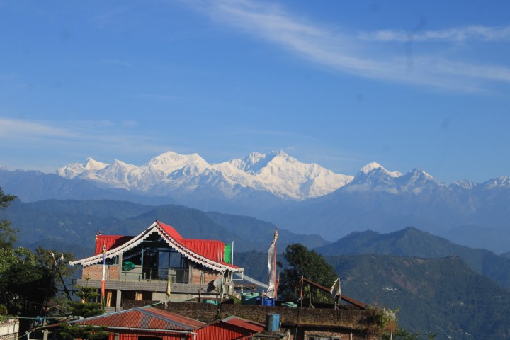 Tea garden Homestay | Labanya Travels