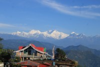 Tea garden Homestay
